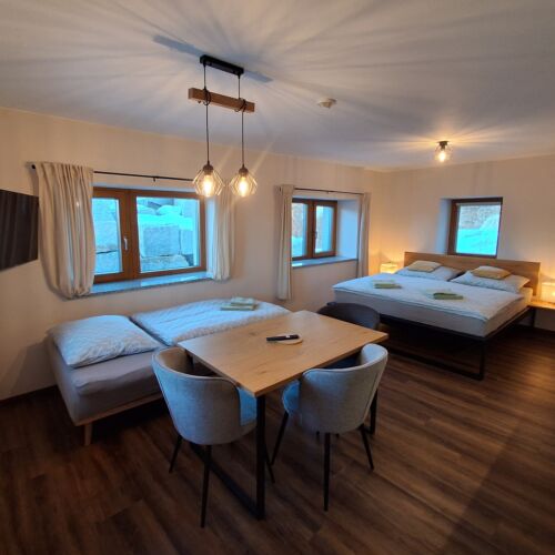 Apartament la parter cu vedere spre munte cu 1 camera pentru 3 pers.