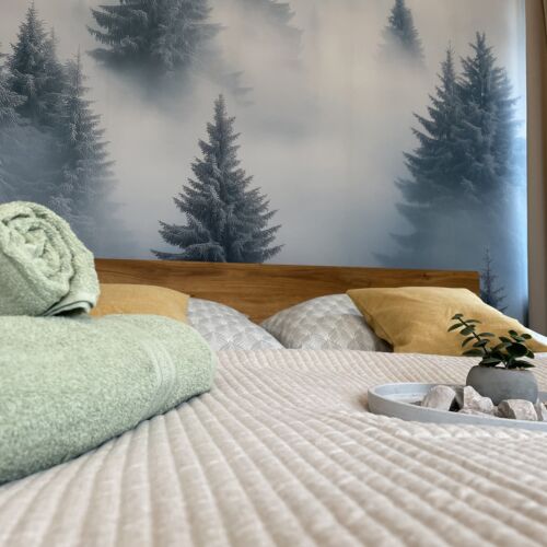 Apartament la etaj cu vedere spre munte cu 2 camere pentru 4 pers.