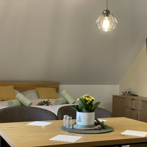 Apartament la mansardă cu vedere spre munte cu 1 camera pentru 3 pers.