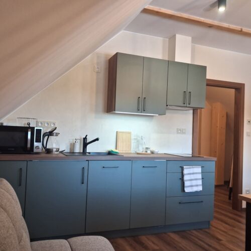 Apartament la mansardă cu vedere spre munte cu 1 camera pentru 3 pers.