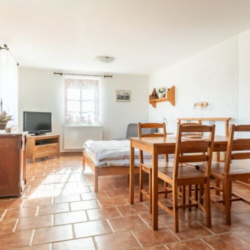 1-Room Apartment for 2 Persons with Shower and Kitchenette (extra bed available)