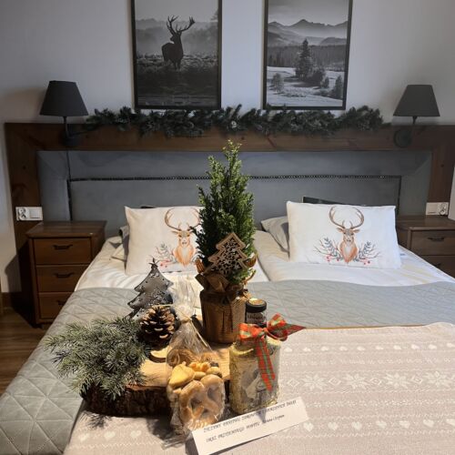 Mountain View Balcony Double Room