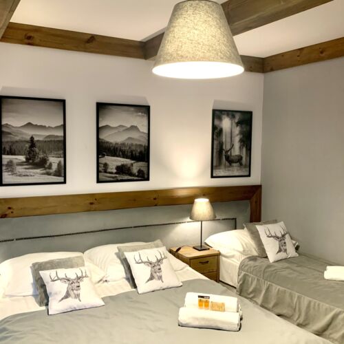 Mountain View Balcony Triple Room