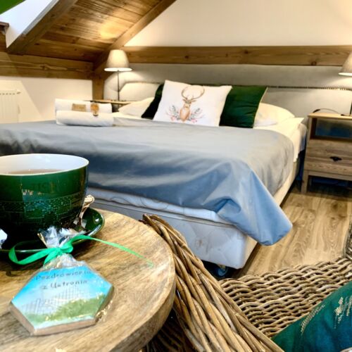 Mountain View Balcony Double Room