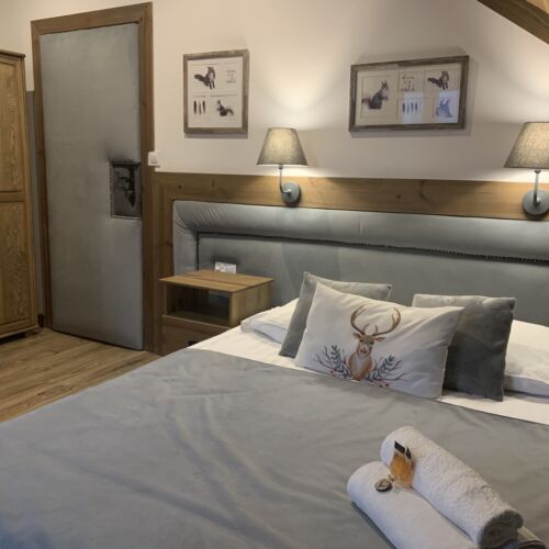 Mountain View Balcony Double Room