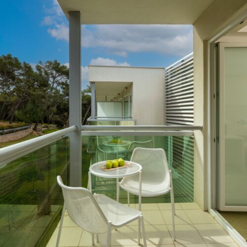 Pokój 2-osobowy Standard z widokiem na park