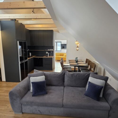 Comfort 2-Room Family Apartment for 4 Persons (extra bed available)