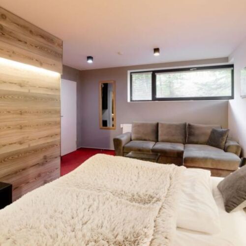 Pleasant Interior Design Double Room