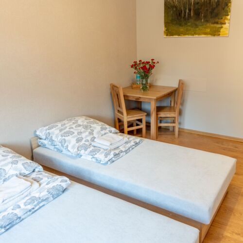 Twin Room connecting (extra bed available)