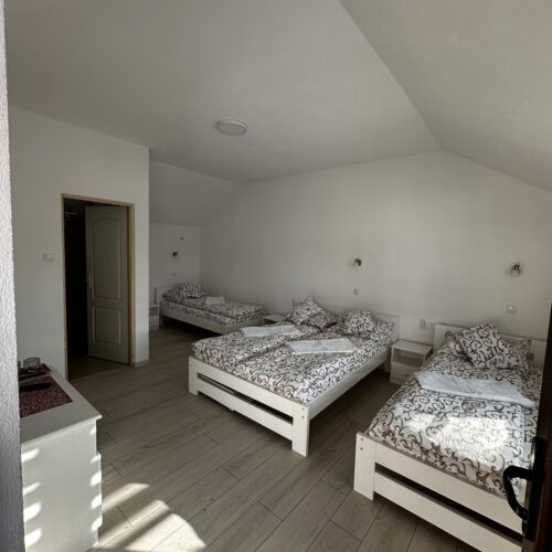 Camera cvadrupla familial(ă) cu baie (se poate solicita pat suplimentar)