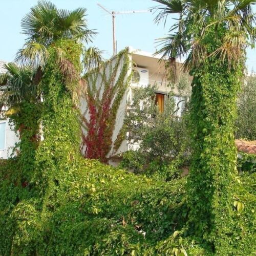 1-Zimmer-Apartment für 2 Personen mit Klimaanlage und Balkon