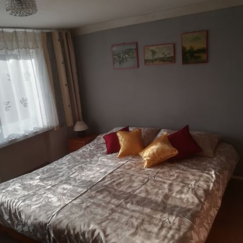 Pokój 1-osobowy na piętrze z widokiem na ogród