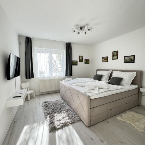 Apartament premium la parter cu 2 camere pentru 4 pers. (se poate solicita pat suplimentar)