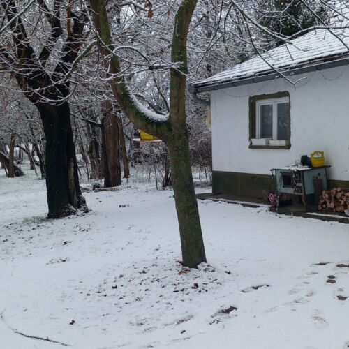 Classic Family House for 6 Persons (extra beds available)