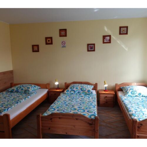 Whole House Art Holiday Home for 11 Persons