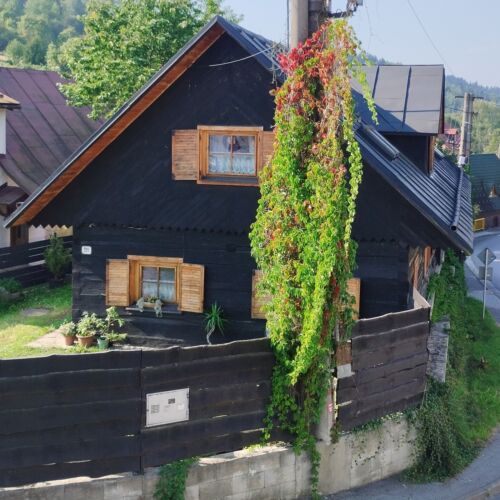 Ganzes Haus Familie Hütte