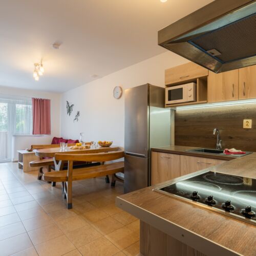 Apartament 4-osobowy z 2 pomieszczeniami sypialnianymi (możliwa dostawka)