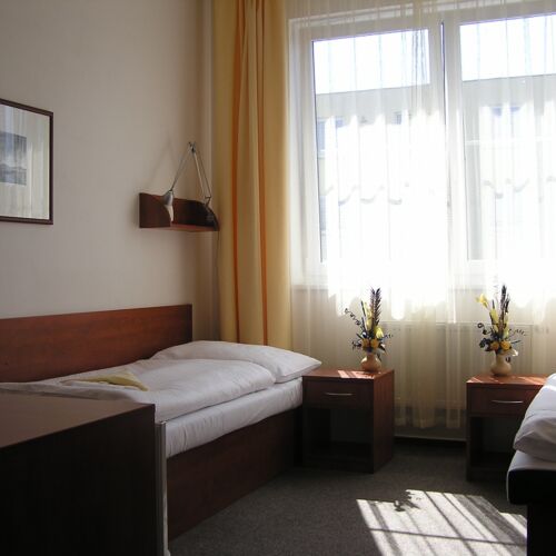 Standard Ground Floor Twin Room