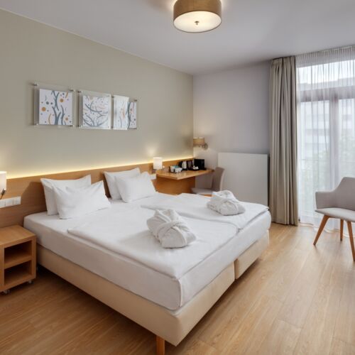 Executive Double Room with Shower