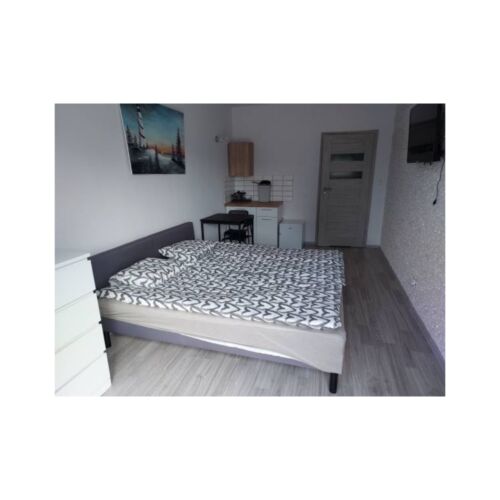 1-Room Apartment for 2 Persons