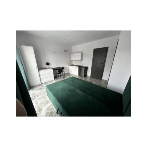 1-Room Apartment for 2 Persons