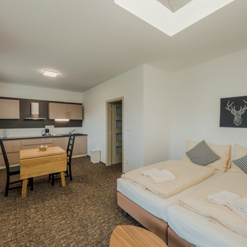 Standard Apartman pro 2 os. s 1 ložnicí na poschodí