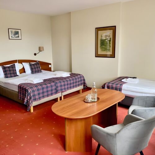 Economy  Pokoj pro 3 os. (s možností přistýlky)