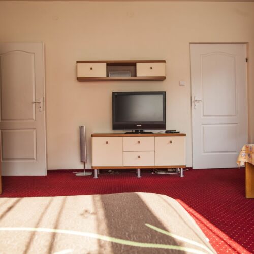 Ground Floor 1-Room Apartment for 6 Persons with Kitchen