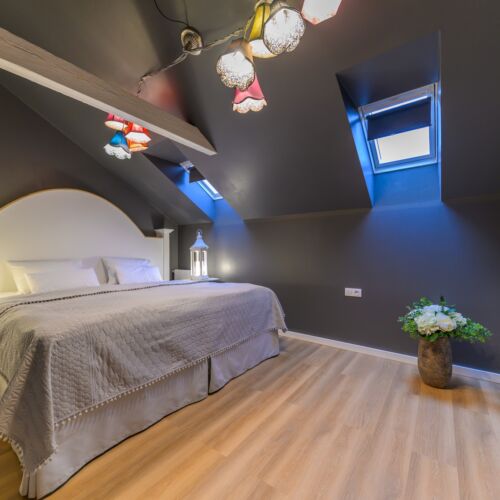 Deluxe 1-Room Apartment for 2 Persons (extra beds available)