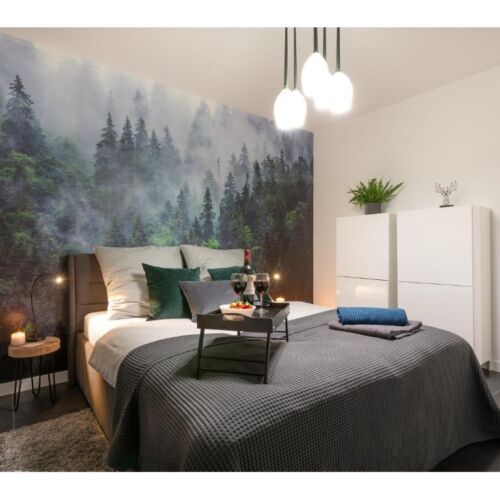 Mountain View 2-Room Apartment for 4 Persons with Own Kitchenette (extra beds available)