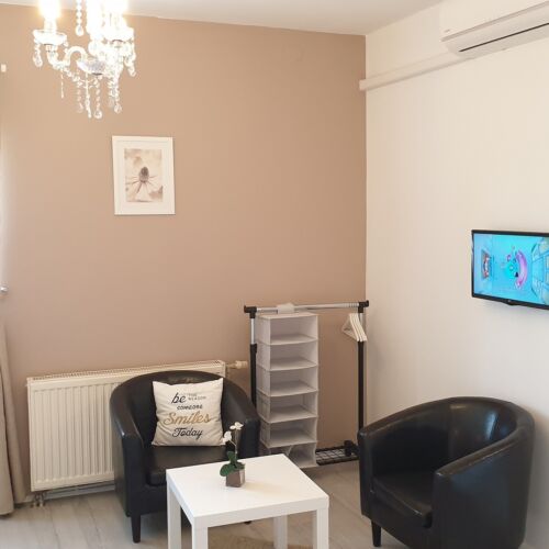 Mountain View Pleasant Interior Design 1-Room Apartment for 2 Persons (extra bed available)