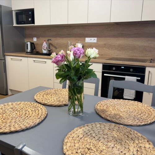 Apartman s koupelnou s vlastní kuchyní pro 2 os. s 1 ložnicí