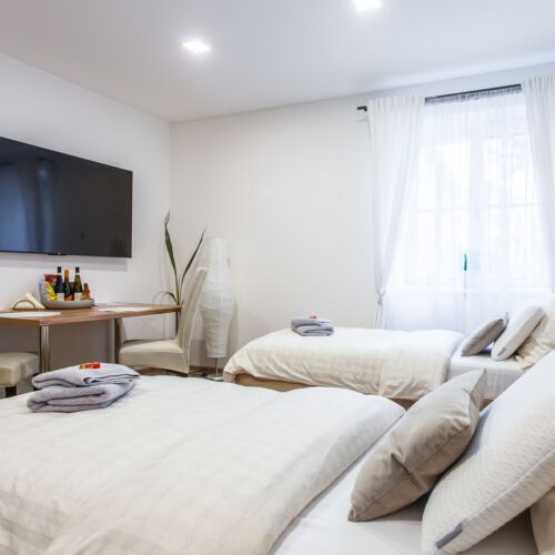 Ground Floor 1-Room Apartment for 2 Persons with Terrace