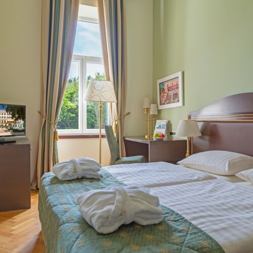 Classic Park View Double Room (extra bed available)