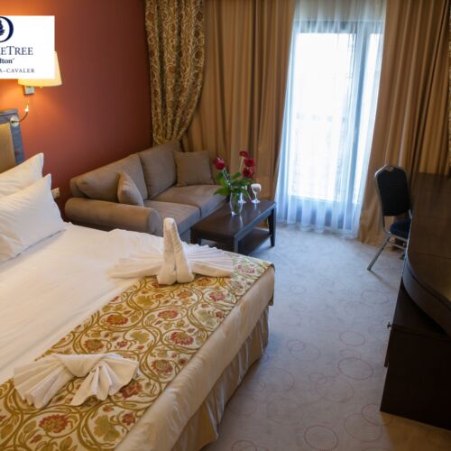 Camera dubla standard king (se poate solicita pat suplimentar)