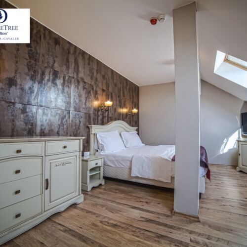 Camera dubla queen duplex Dream