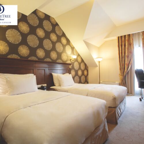 Camera  standard twin (se poate solicita pat suplimentar)