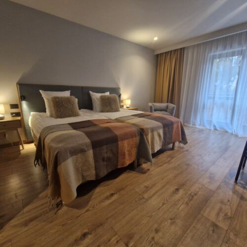 Camera twin cu panoramă vila Forest