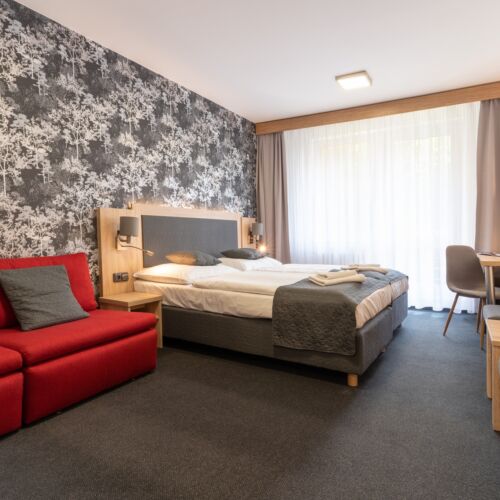 Double Room (extra beds available)