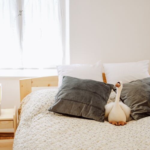 Apartament cu 1 camera pentru 2 pers. (se poate solicita pat suplimentar)