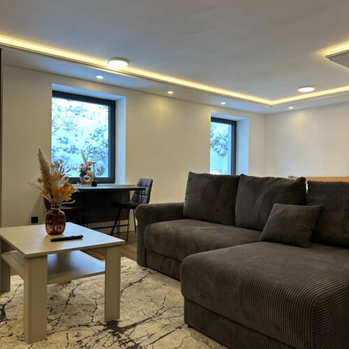 1-Room Apartment for 2 Persons