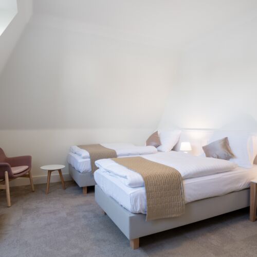 Barrier Free Twin Room