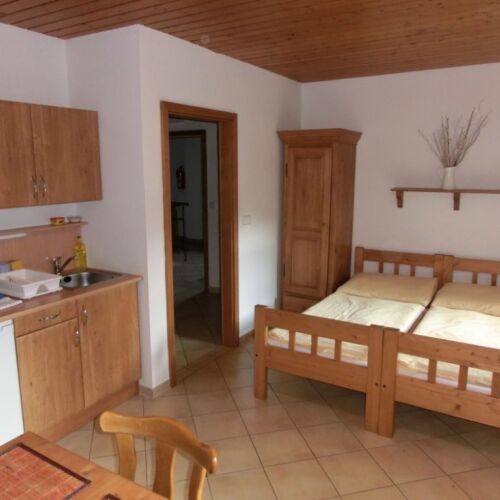 Studio 1-Room Apartment for 4 Persons with Shower (extra bed available)