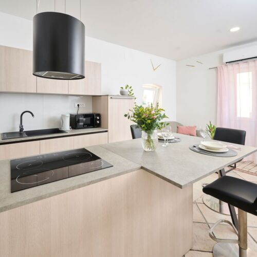 Apartament cu 1 camera pentru 2 pers.