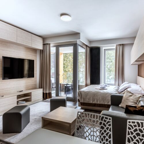Deluxe 2-Room Apartment for 5 Persons