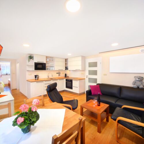Deluxe Ground Floor 1-Room Apartment for 4 Persons (extra bed available)
