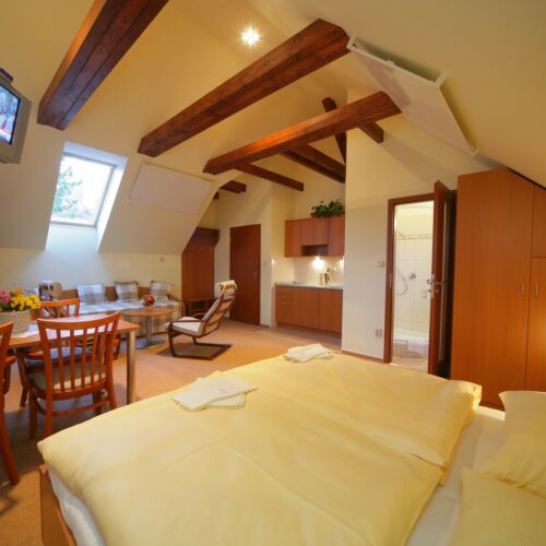 Studio Quadruple Room with Kitchenette (extra bed available)