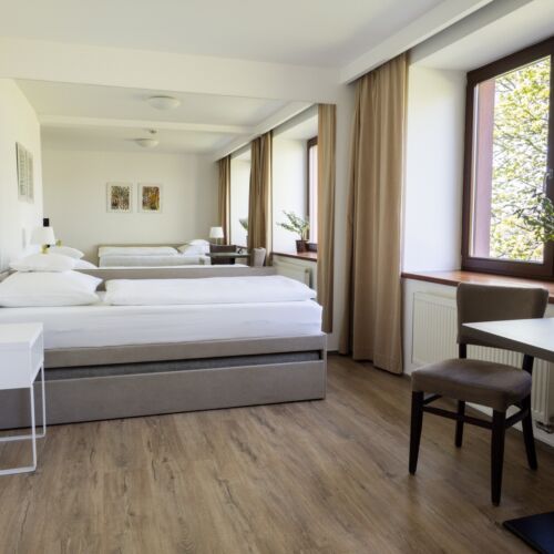 Superior Garden View Twin Room (extra beds available)