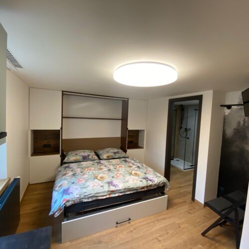 1-Room Apartment for 2 Persons ensuite with Own Kitchen