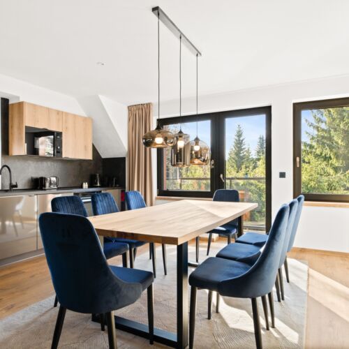 2-Room Family Apartment for 4 Persons with Own Kitchen (extra beds available)